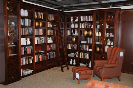 Wohnzimmer mit Bibliothek